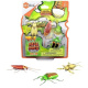HexBug – Brouci