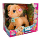 Club Petz – Psík Milo