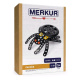 Merkur - Pavouk