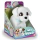 Club Petz - Chodící bichon